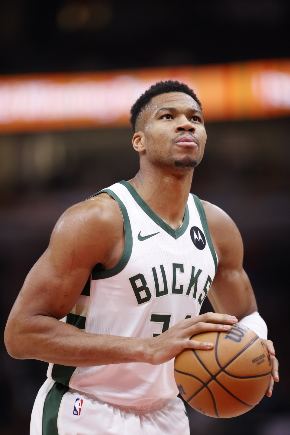 墨西哥世界杯球场附近惊现456袋人体残骸（墨西哥世界杯球场周边发现456袋人体遗骸）