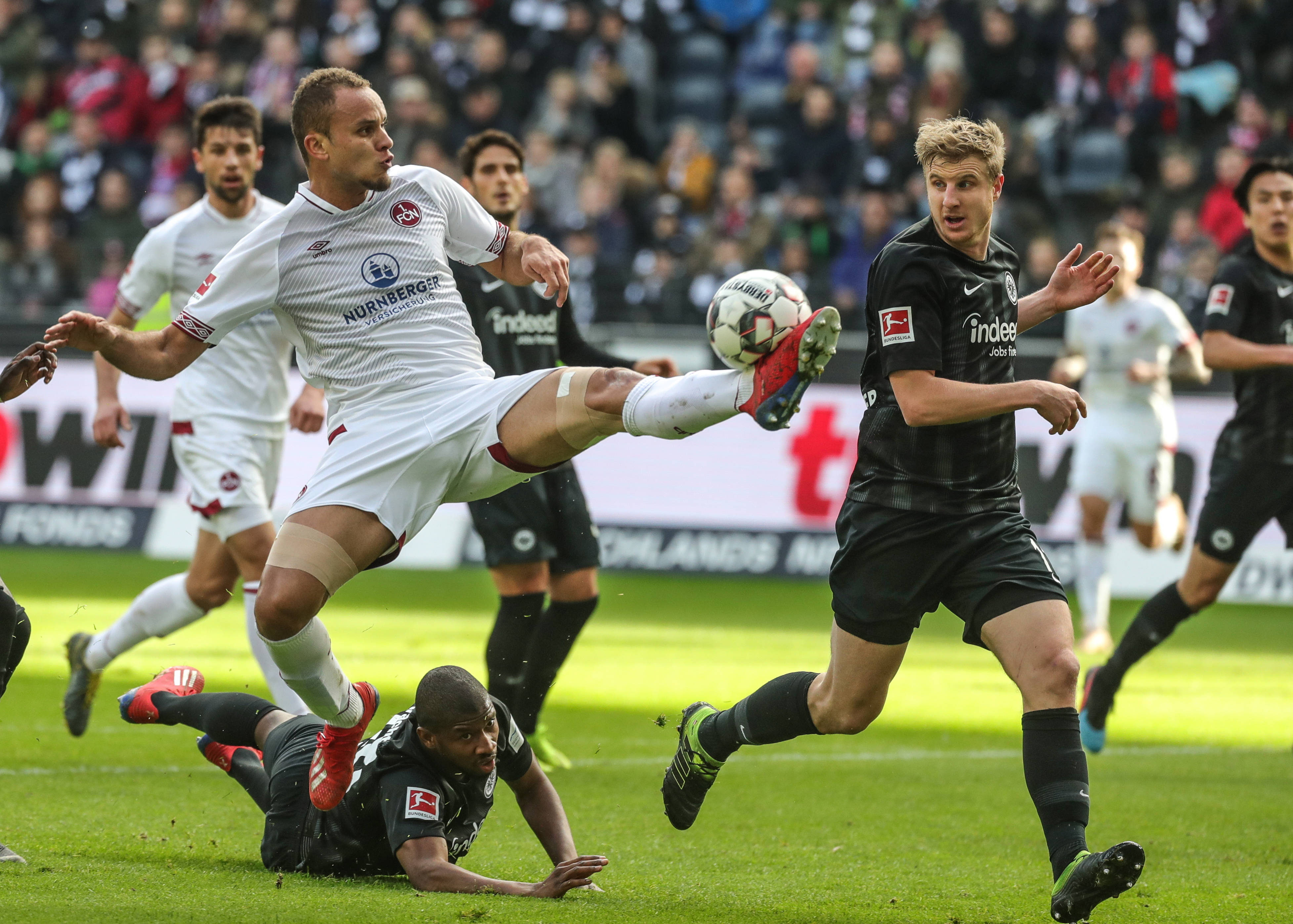 帕利尼亚在 帕利尼亚在